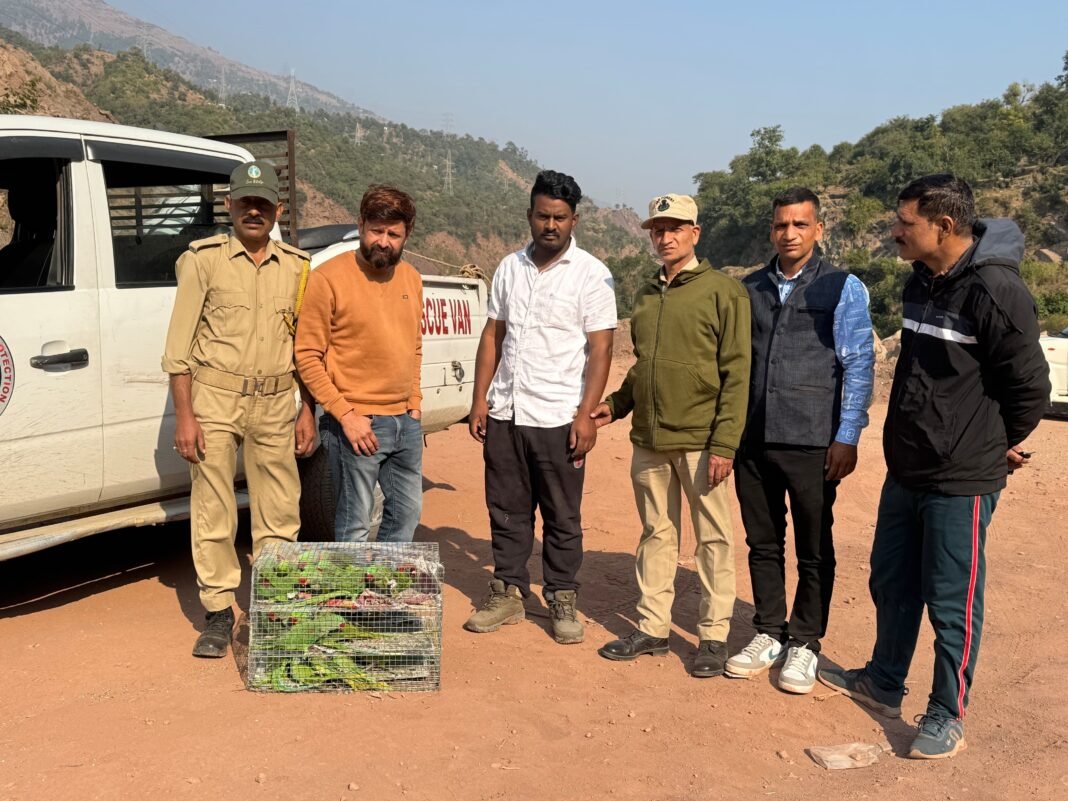 Wildlife Smuggling Attempt Foiled in Udhampur, 20 Parrots Rescued