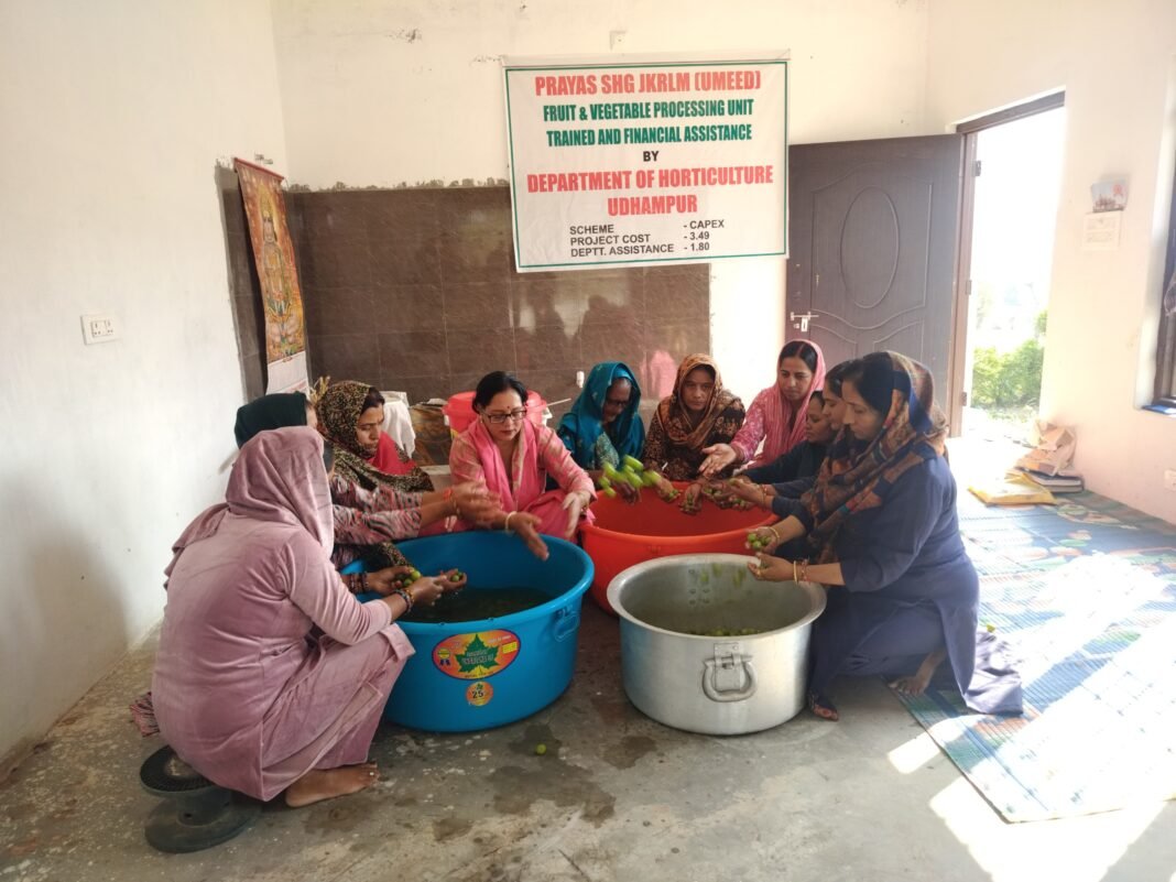 WOMEN’S SELF HELP GROUP IN UDHAMPUR STRUGGLES WITH BUSINESS DUE TO LACK OF THREE PHASE POWER SUPPLY