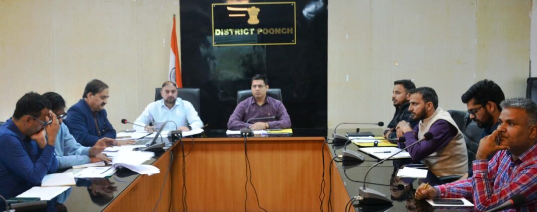 DC Poonch reviews functioning of Revenue Department