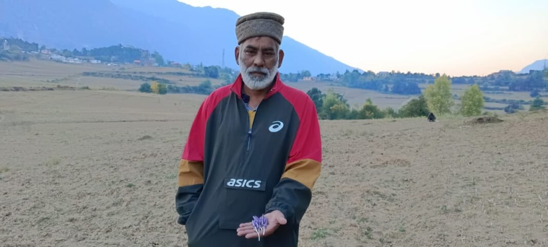 Famed Red Gold: Not just Kashmir, produce declines in Jammu too