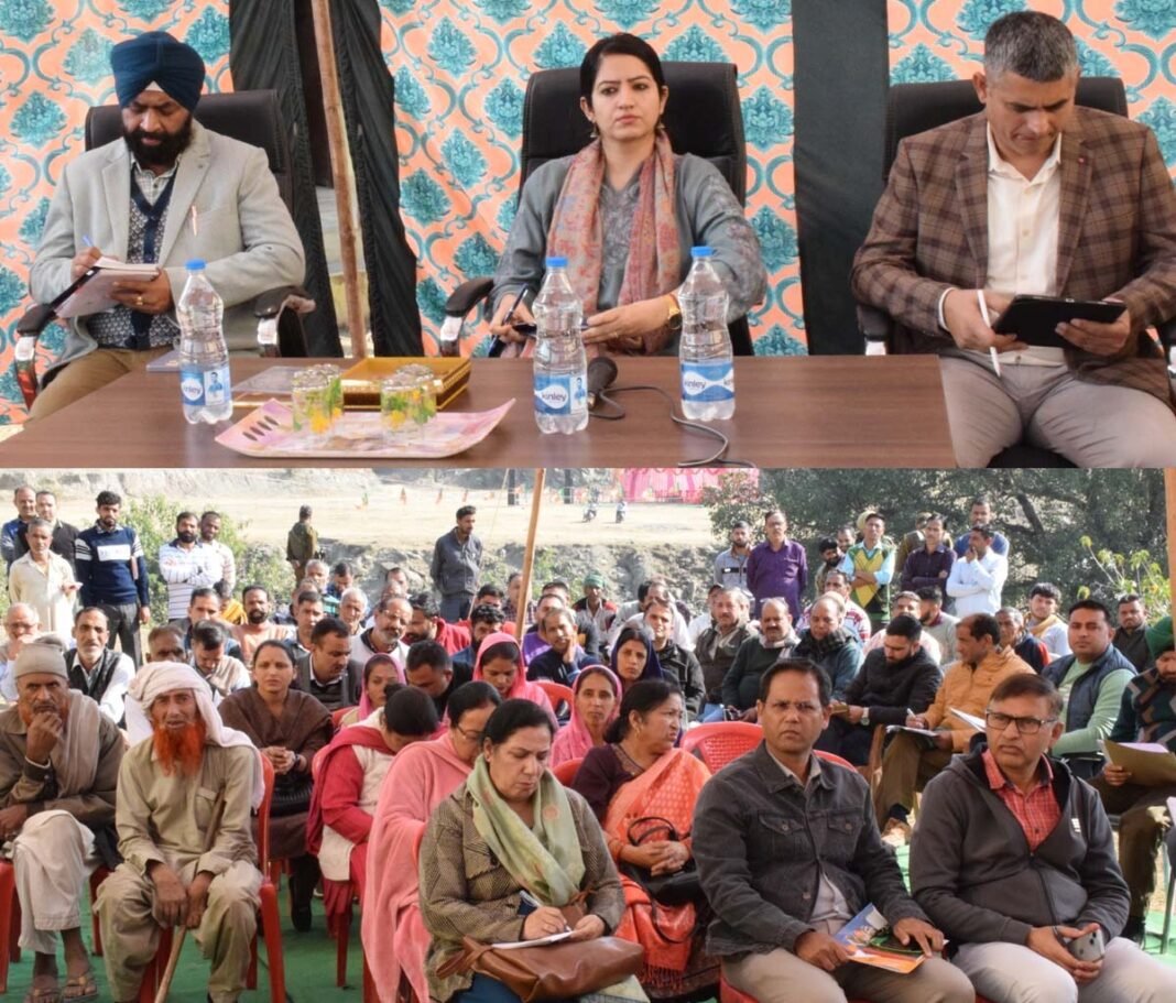 DC Udhampur convenes public outreach programme at Chanunta