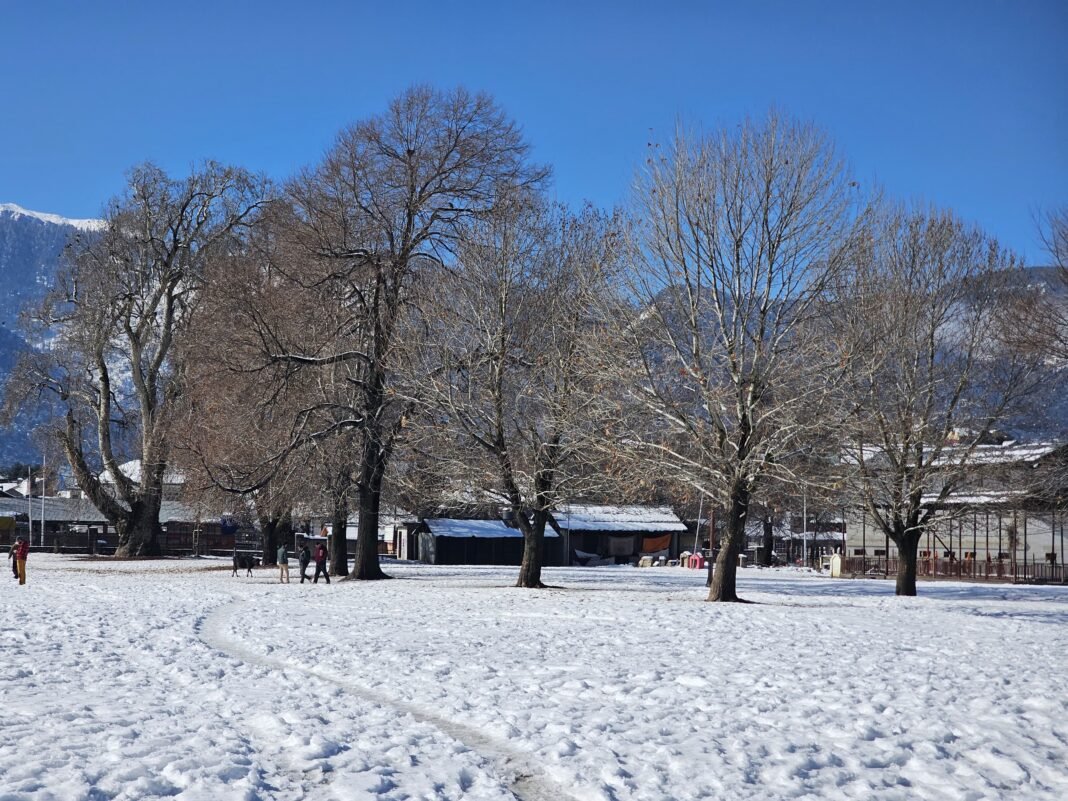 Day 02: Snowfall Aftermath