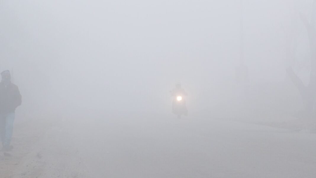 Dense Fog Brings Life to a Standstill in Jammu’s Udhampur