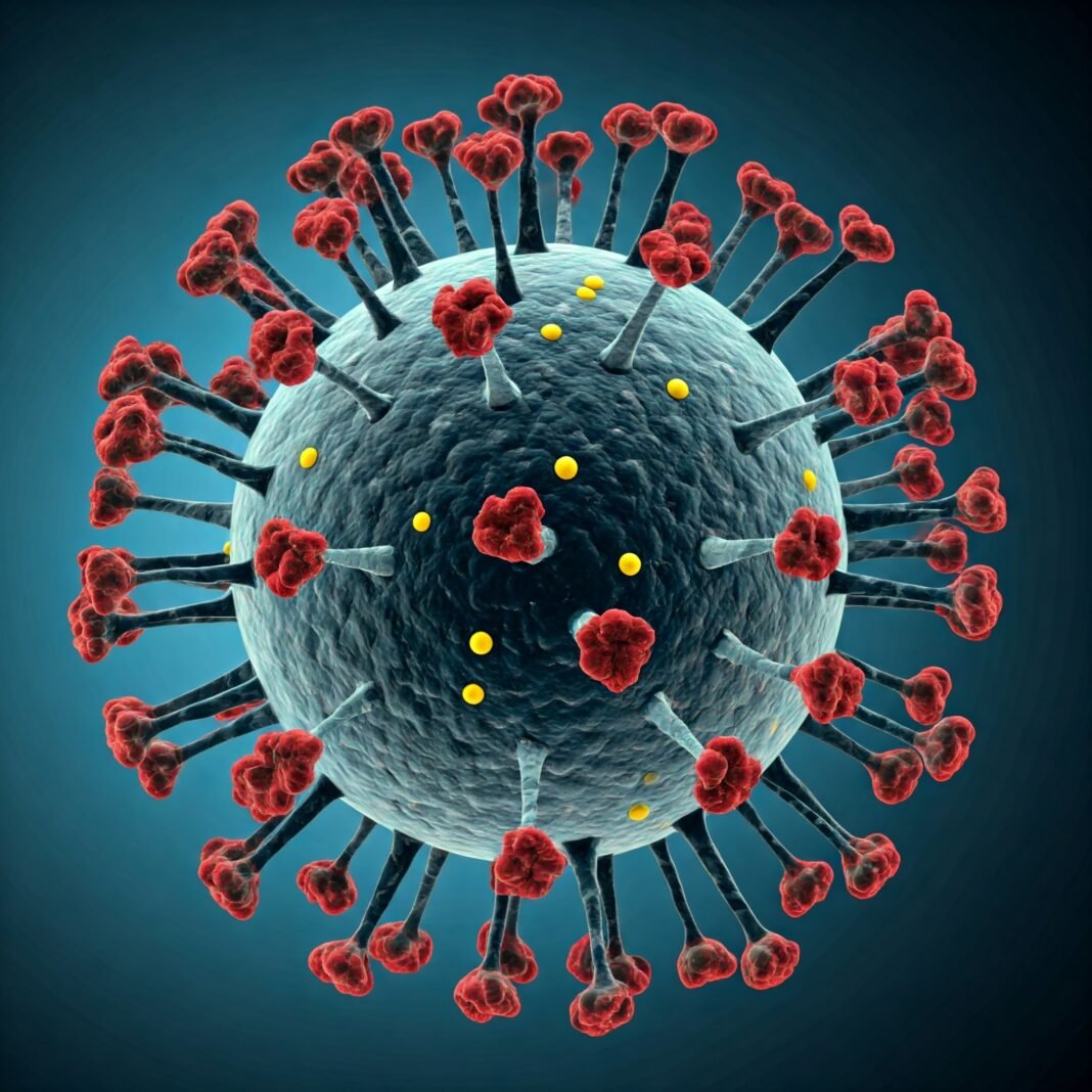India Prepares for HMPV Virus Threat Following COVID-19 Concerns