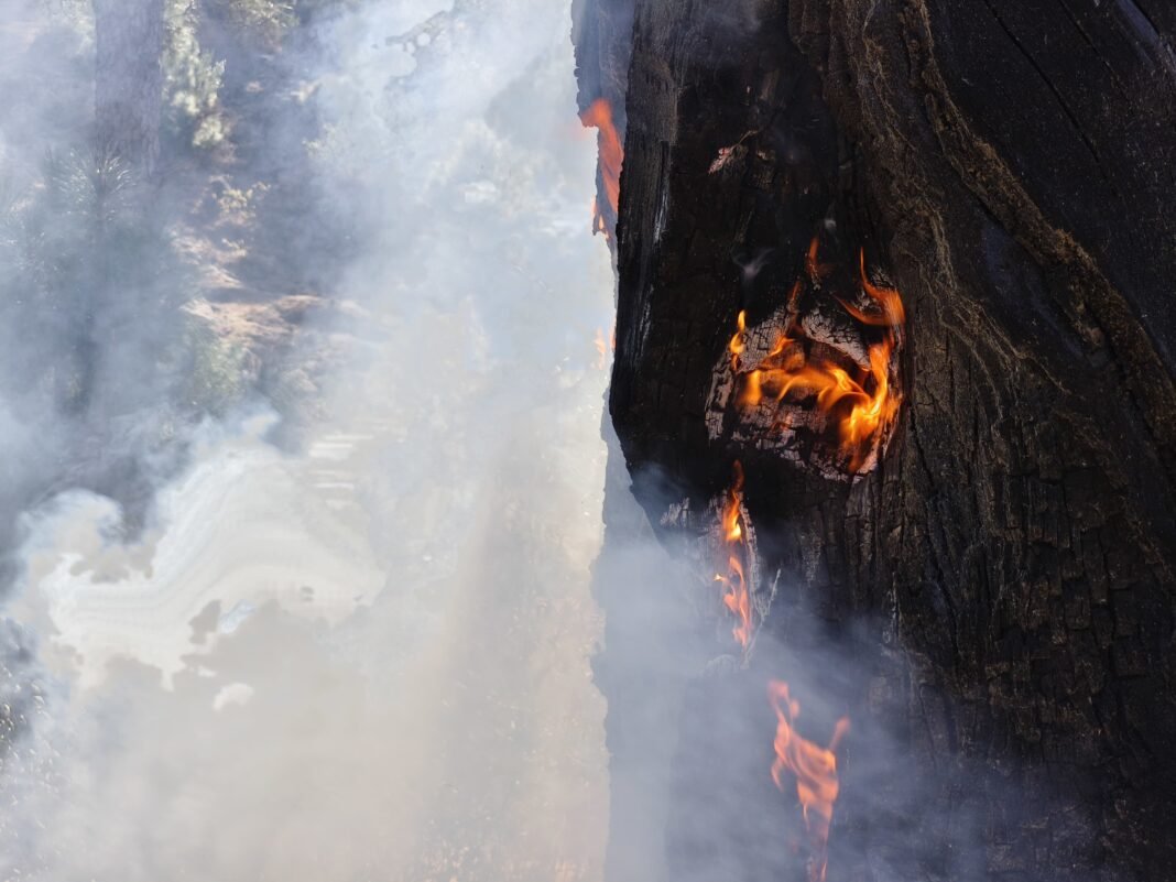 MAJOR FIRE ENGULFS FOREST AREA IN UDHAMPUR, EFFORTS ON TO DOUSE THE FIRE