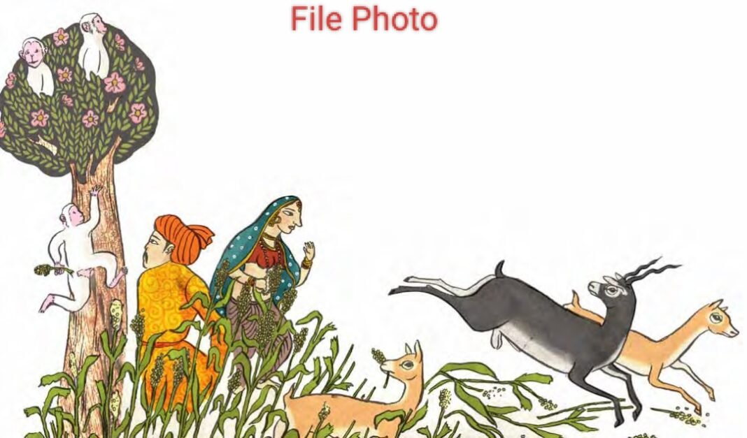 32 Killed, 269 Injured in Man-Animal Conflict in J&K Over Two Years