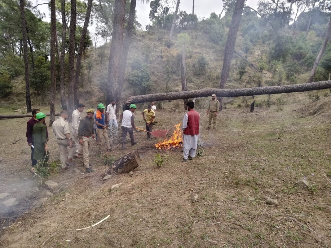 Forest Department Unveils Comprehensive Fire Prevention Plan During Record Heat Warnings