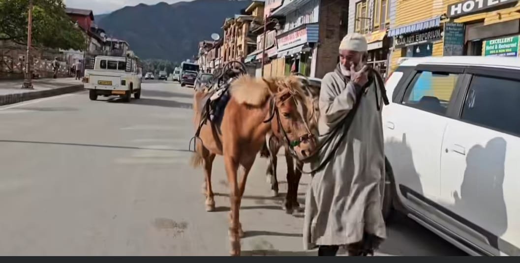 “We Feed Our Families Through Tourists – Now There Is No One”: Pahalgam’s Ponywallas Face Ruin After Attack