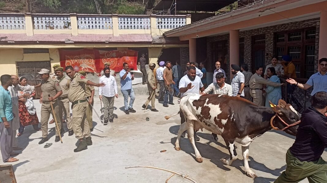 JMC Takes Action Against Unregistered Dairies