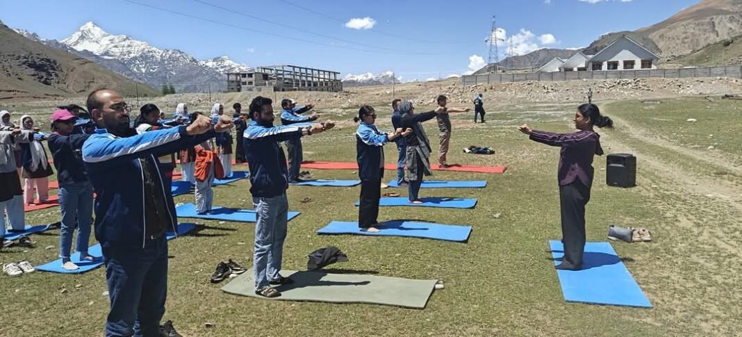 Department of Physical Education, GDC Drass Hosts One-Day Yoga Session Promoting Physical and Mental Well-being