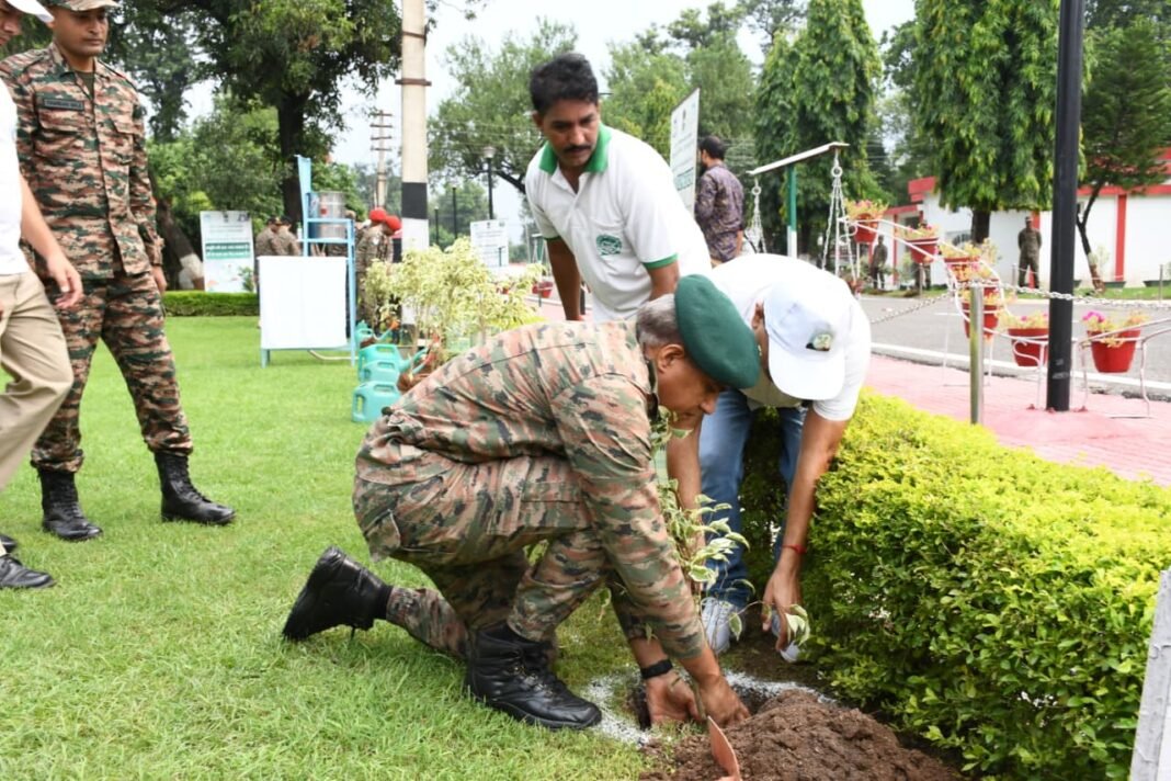 Tiger Division Conducts Tree Plantation Drive in Collaboration with Forest Department and JMC