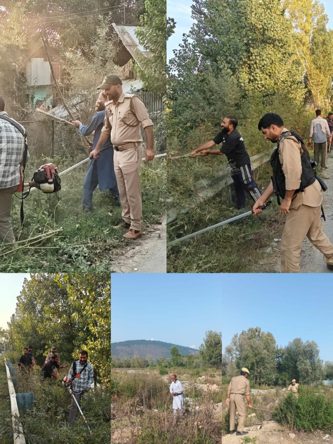 Handwara Police conducts Wild Bhung Destruction Drives in Lokipora Kralgund & Talri Handwara