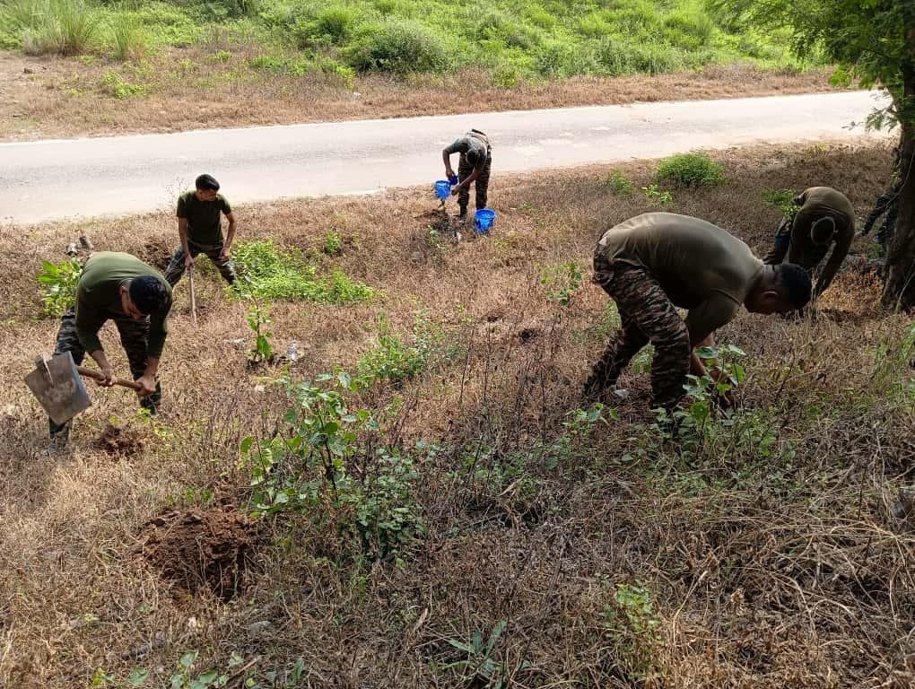 Indian Army Leads Environmental Initiative with Mass Tree Plantation Drive at Akhnoor
